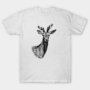 Red deer T-Shirt
